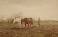 Ploughing farmer