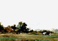 Cows in a meadow behind the dunes