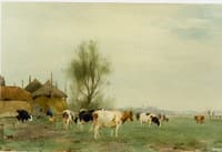 Cows at the farm