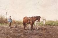 Ploughing in the Field