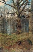The Spring Wood