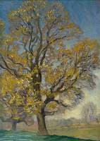 Elm Tree in Spring