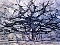 Silver Tree