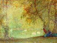 Swans at the forest pond