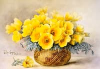 California Poppies in an Indian Basket