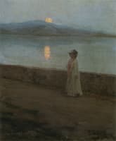 Moonlight on the lake