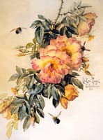 Roses and Bumblebees