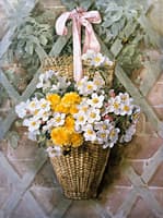 Hanging Basket