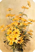 A Bunch of Heliopses