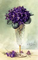 Violets in a Glass Goblet
