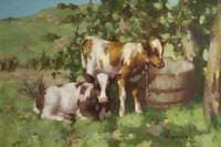 Calves