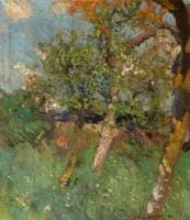 Orchard Scene