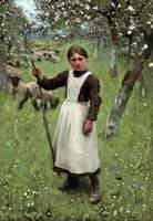 The Shepherdess