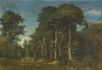 Elégantes dans une allée de sous-bois