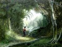 Paysage de forêt tropicale