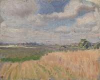 Sketch of a Cornfield in Summer