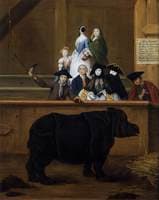 Exhibition of a Rhinoceros