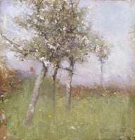 Apple Blossom