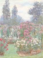 A Midsummer Morning