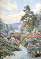 Azaleas in flower at Trebah, Cornwall