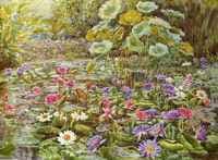 Water Garden