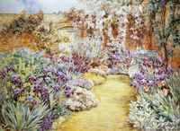 A Garden