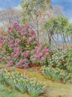 A Cornish garden