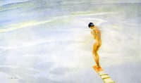 Springboard