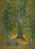 Onteora
