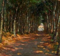 Alley in the Park