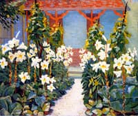 Lilies and Cabbages