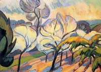 Trees in Bloom