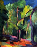 Undergrowth