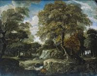 View in the woods