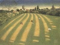The Meadow