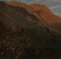 Mountain Landscape with Flowers
