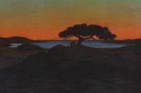 Pine by the Sea (Furu ved havet)