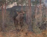 The Elk