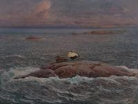 Birds on a Cliff