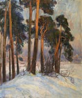 Pine Trees on Bygdø