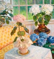 Garden with Hydrangeas in Pots
