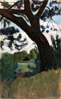 Landscape with Pine
