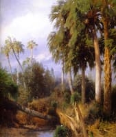 Florida Palms