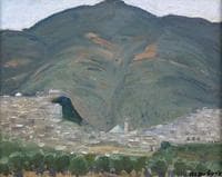 View of Moulay Ydriss