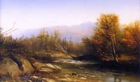 Woodland Stream
