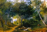 Path in the Woods, New Bedford