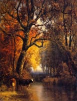 The Water's Edge