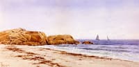 Summer Day on the Coast