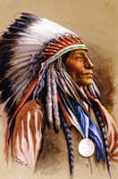 Chief Wolf Robe