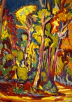 Trees in Autumn